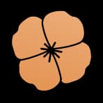 The Wild San Francisco